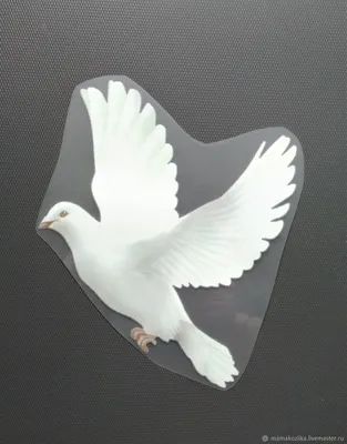 Белый голубь в полете Stock Photo | Adobe Stock