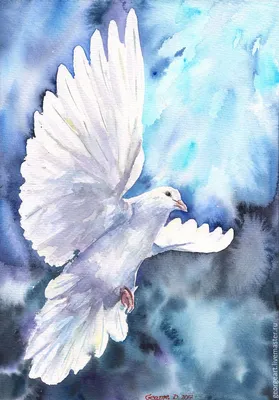 Белые голуби из натуральных перьев (ID#1349364598), цена: 121.50 ₴, купить  на Prom.ua