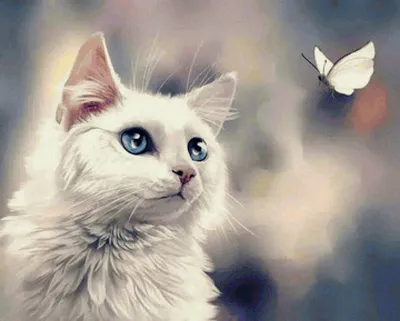 Ушел в плохо закрытую дверь»: Белый кот с разноцветными глазами пропал в  Нижнем Новгороде - KP.RU