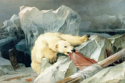 Ветеринары рассказали, как чувствует себя белый медведь с острова Диксон -  11.09.2022, Sputnik Беларусь