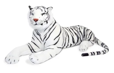 Белый Тигр В Неволе Ходить Вокруг — стоковые фотографии и другие картинки  Белый - Белый, Белый тигр, Тигр - iStock