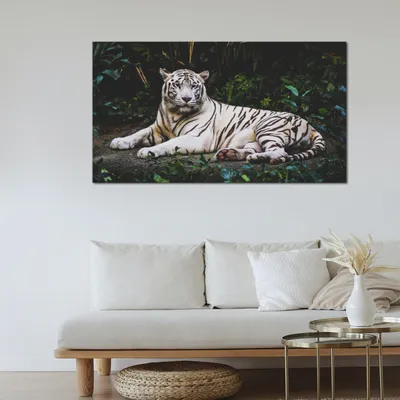 Белый тигр / PhotoXPress
