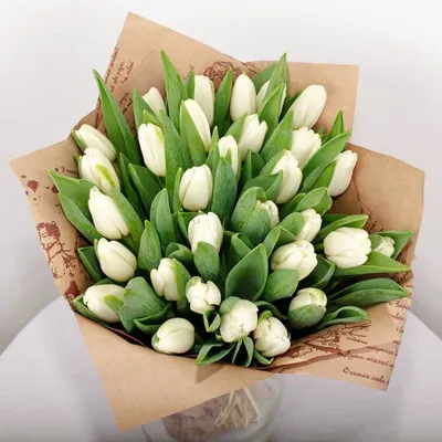 Купить Белые тюльпаны в Москве, заказать Белые тюльпаны - недорогая  доставка цветов из интернет магазина!