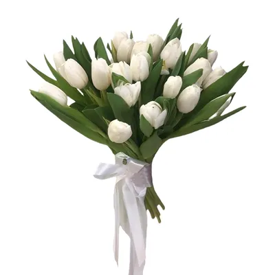 Букет 25 белых тюльпанов - Доставкой цветов в Москве! 41478 товаров! Цены  от 487 руб. Цветы Тут