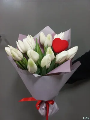 5 белых тюльпанов | доставка по Москве и области