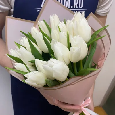 Букет 15 белых тюльпанов - Доставкой цветов в Москве! 41481 товаров! Цены  от 487 руб. Цветы Тут