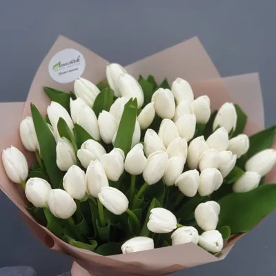 Букет из белых тюльпанов (25 шт) купить с доставкой в интернет-магазине за  3290р. Позиция № 51
