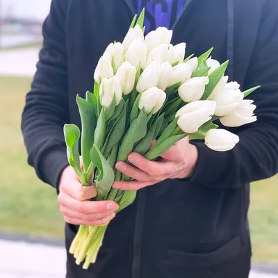 51 голландский белый тюльпан в стильной упаковке купить в Минске, закажи, а  мы доставим.
