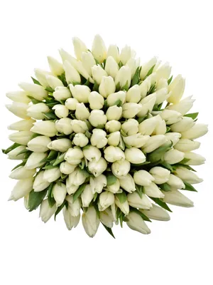 Букет из белых тюльпанов и ирисов – купить с доставкой в Москве