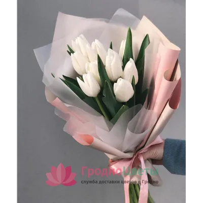 Букет 35 белых тюльпанов купить по цене 1405 грн | Украфлора