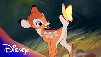 Walt Disney. Бемби (DVD) (упрощенное издание) - купить мультфильм /Bambi/ на  DVD с доставкой. GoldDisk - Интернет-магазин Лицензионных DVD.