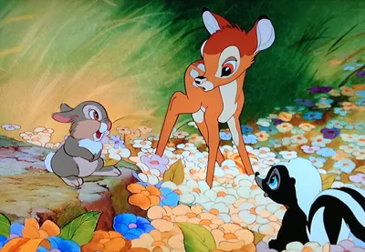 The original Bambi isn't kid's stuff — and it carries significant lessons  for today | CBC Radio