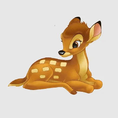 Watch Bambi II | Disney+