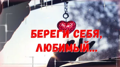 Береги себя, солдат (Анастасия Шевцова 3) / Стихи.ру