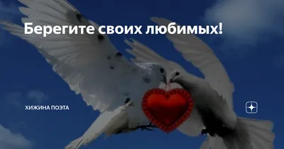 Стих \"берегите любимых\" | Никита Стоянов | Дзен