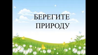 Экологический проект «Береги природу!» — Детский сад №38