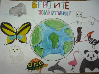 Единая Россия» запустила голосование за лучшие рисунки конкурса «бЕРегите  животных!» — Защита животного мира