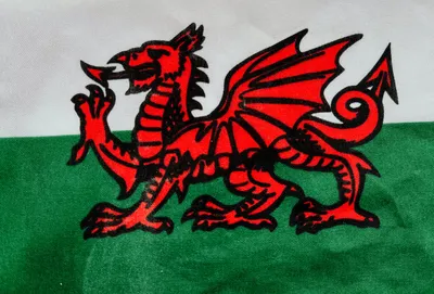 Бесплатные стоковые фото на тему валлийский флаг, дракон, уэльс