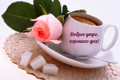 Красивые картинки с пожеланием доброго утра, хорошего дня и настроения -  Muz-Otkritka.ru