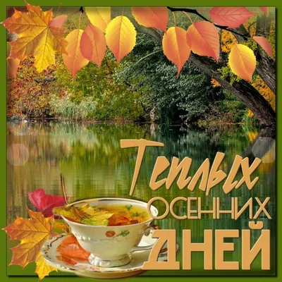 🌞 С добрым утром! 🌹 | Поздравления, пожелания, открытки | ВКонтакте