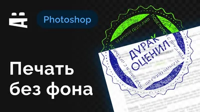 БОКЕ. РАЗМЫВАЕМ ФОН БЕЗ ФОТОШОПА. | Фотошкола Photo-Sasha.ru | Дзен