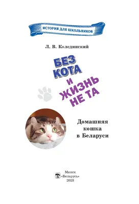 Термостакан «Без кофе и кота жизнь не та», с черной крышкой - Уникальные  принты и гаджеты