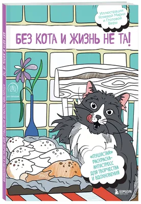 Идеи на тему «Без кота и жизнь не та!» (900+) в 2024 г | кот, веселые  картинки, юмор про кошек