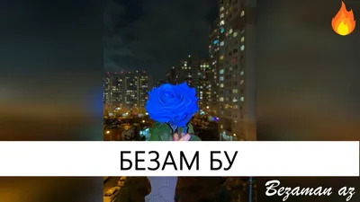 Альбом «Са безам - Single» — Сацита Солтаева — Apple Music