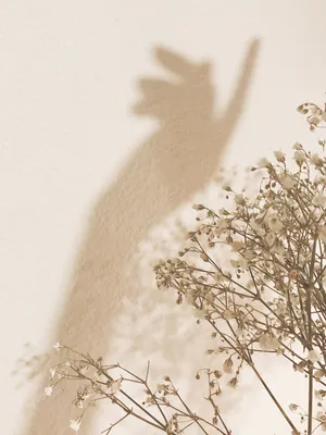Бежевый фон Эстетика (60 фото) | Пальмовый принт, Пейзажи, Абстрактные фоны