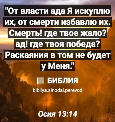 Институт перевода Библии (@IBT_Russia_CIS) / X