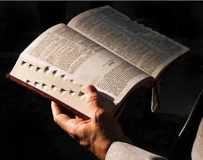 Интересные факты о Библии. | Фактория | Дзен