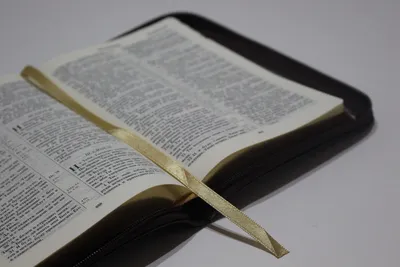 10 вещей, которые запрещено делать согласно Библии » BigPicture.ru