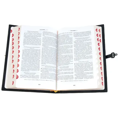 126 Библейские стихи о жизни - DailyVerses.net