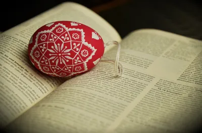 10 неожиданных фактов о БИБЛИИ - YouTube