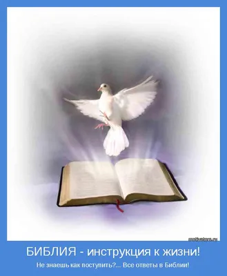Красивая бордовая Библия Гёце, средний формат (ID#1496823163), цена: 489.02  ₴, купить на Prom.ua