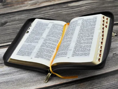 Самая древняя Библия пойдет с молотка - Российская газета