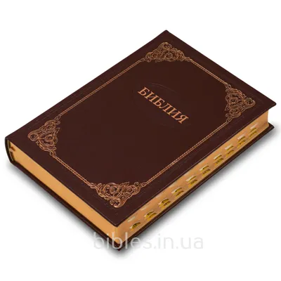 Толковая Библия | Лопухин Александр Павлович - купить с доставкой по  выгодным ценам в интернет-магазине OZON (172086106)
