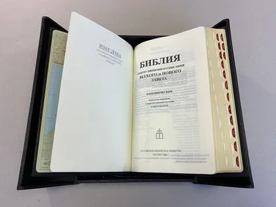 Библия: что было «на самом деле»? — купить книгу Андрея Сергеевича  Десницкого на сайте alpinabook.ru