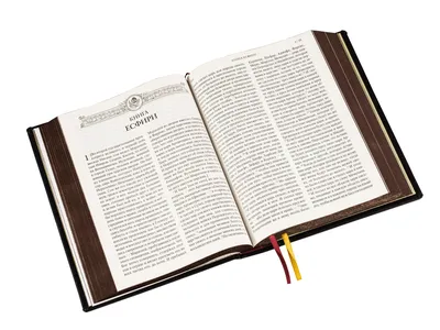 Запрещёная Библия: Как из Писания выкинули большую часть древних текстов. |  ГРИМУАР | Дзен
