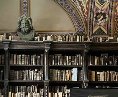 Самые впечатляющие библиотеки мира | myDecor