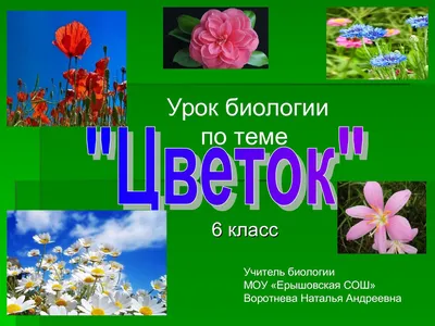 Презентация для доклада по биологии на тему Ушибы 9 класс - ШпарГалка -  скачать на Wildberries Цифровой | 135822