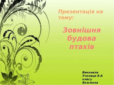 Презентация образовательных программ «Естествознание, биология» и «Биология,  иностранный язык» - МГПУ
