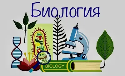 Биология в школе. Странная программа обучения. В чём смысл? | Пикабу