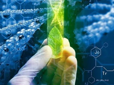 Биотехнология — специальность будущего?