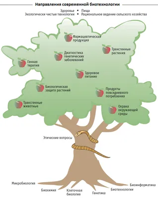 Современная биотехнология – новая магия? - Моя газета | Моя газета