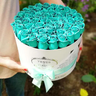 Бирюзовые розы в коробке - сердце за 9 990 руб. | Бесплатная доставка  цветов по Москве