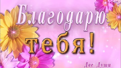 Я люблю тебя. Благодарю тебя. | Фейк-Вакансии | Дзен