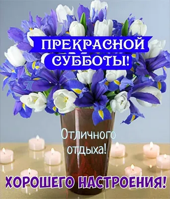 Татьяна Банакова on Instagram: \"Счастливого и благословенного дня...!!!  💥💖💥🔥💥💋💥🔥💥💖💥#делайчтолюбишь🔝\"