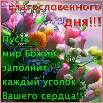 Ольга Макарова on Instagram: \"Благословенного дня - это такое счастье  получать от Бога каждый день! 🙏💯❤️💯🙏.Аллилуия! ❤️❤️❤️❤️❤️\"