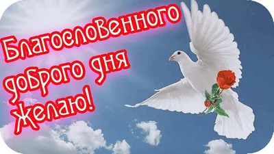 Красивые открытки \"Доброго дня!\" (2558 шт.)